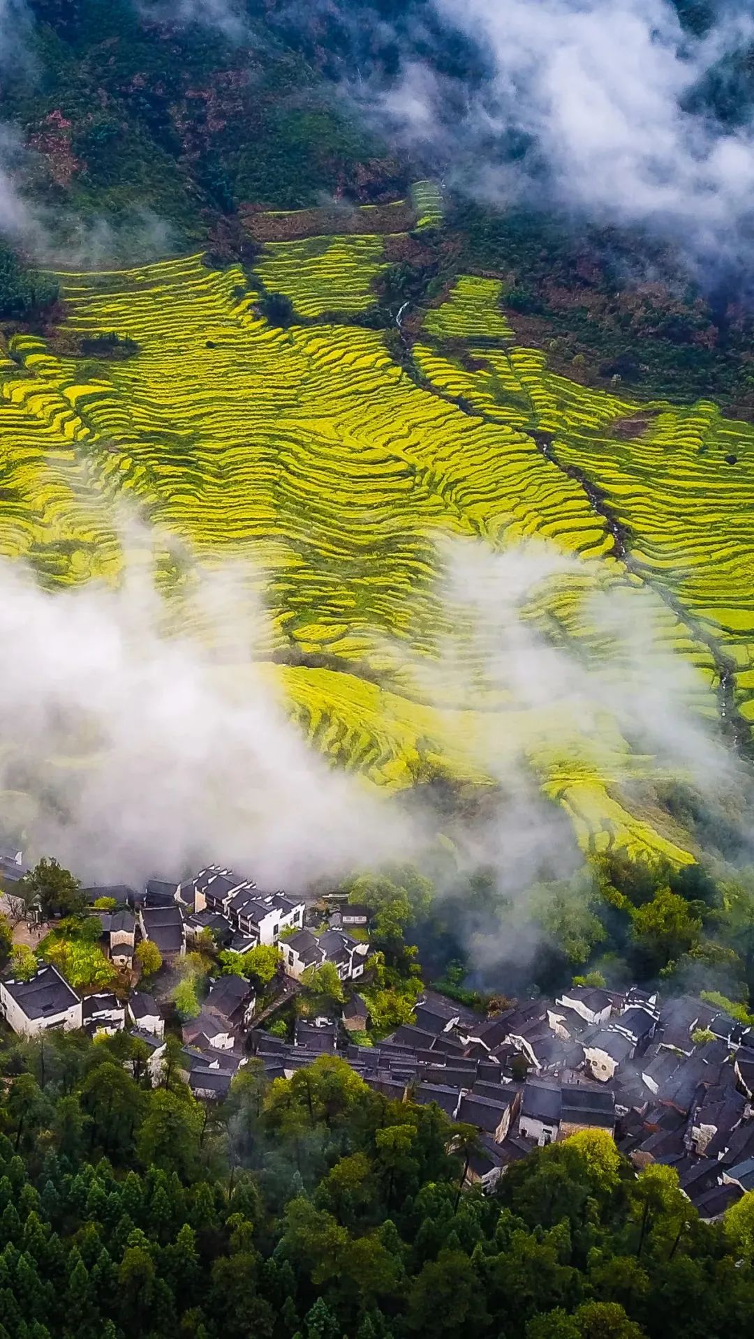 江西: 探寻地域魅力与人文风采的评论文章