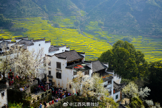 江西: 探寻地域魅力与人文风采的评论文章