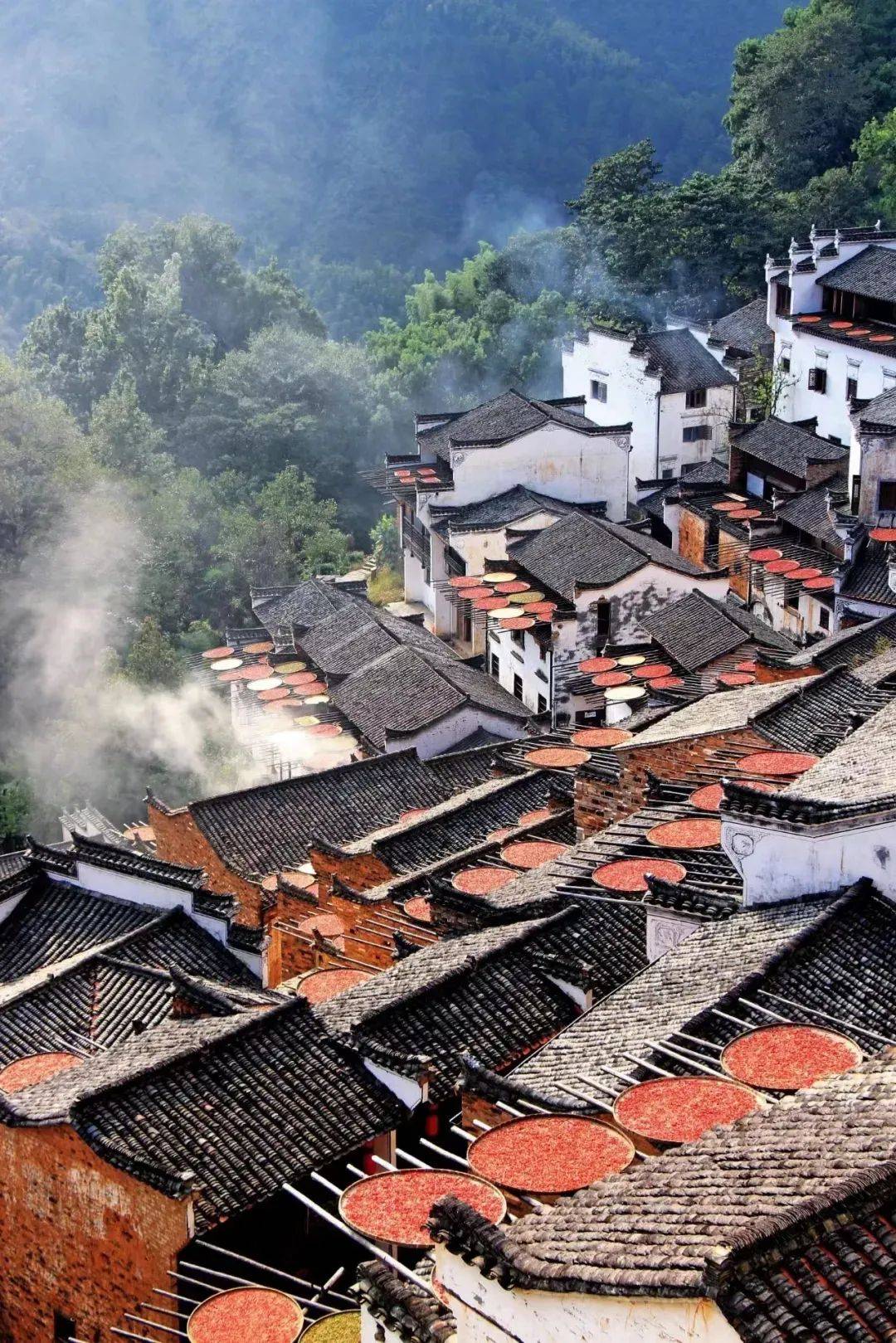 江西: 探寻地域魅力与人文风采的评论文章